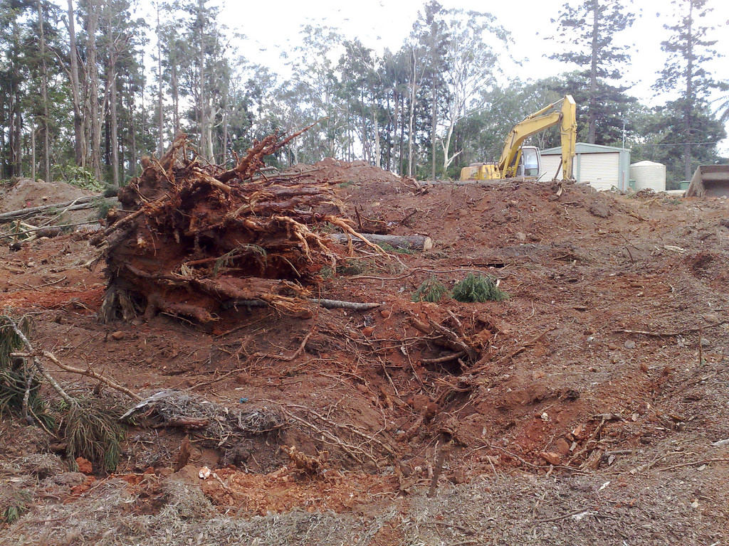 Land cleared and trees picked down