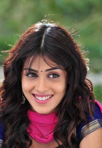 Genelia D'Souza Body Measurements Breast Hips Bust Bra Cup Sizes Height And Weight
