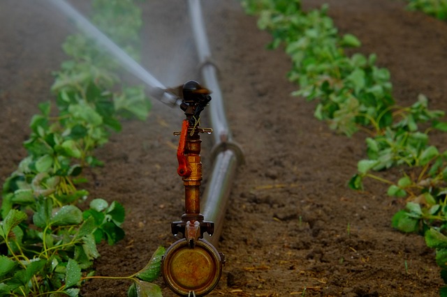 Sprinkler system being used for agriculture in united states