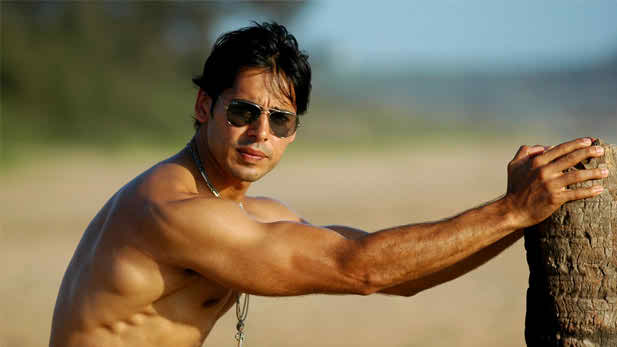 Dino Morea Height Weight Body Measurements 2016 Biceps Family Wife Girlfriend
