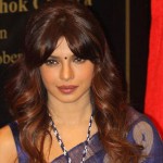 Priyanka Chopra Wedding Photos Husband Name Marriage Year Date 01