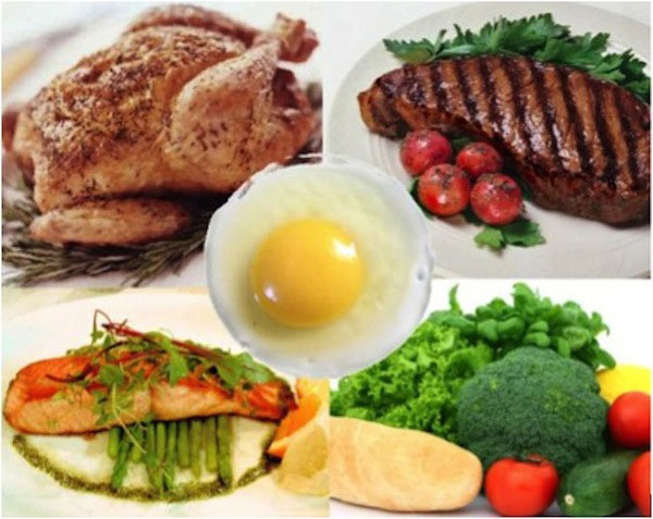 Protein-Diet