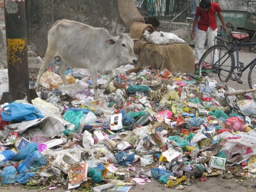 Polythene Bags,do we really need those ?